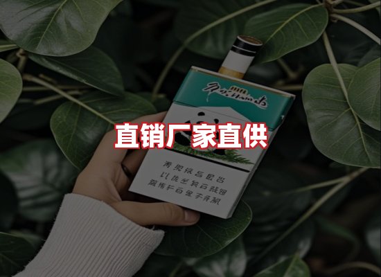 专业团队